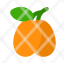 kumquat-fresh-healthy-fruit-icon