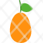 kumquat-fruit-healthy-fresh-food-icon