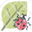 ladybug-animal-cute-forest-garden-leaf-icon