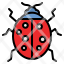 ladybug-animals-entomology-insect-zoology-icon