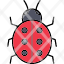 ladybug-insect-bug-animal-fly-icon