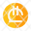 lari-currency-banking-payment-money-icon