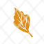 leaf-autumn-fall-dry-orange-icon