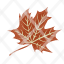 leaf-autumn-fall-maple-dry-icon