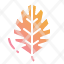 leaf-autumn-season-fall-botanical-icon