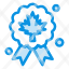 leaf-award-badge-quality-icon