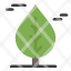 leaf-canada-plant-icon