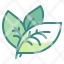leaf-ecology-environment-nature-plant-icon