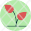 leaf-flower-plant-crops-agriculture-garden-icon