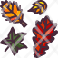 leaf-icon