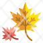 leaf-maple-autumn-nature-botanical-leaves-foliage-icon