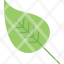 leaf-nature-plant-green-ecology-icon