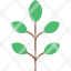 leaf-nature-plant-green-tree-icon