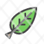 leaf-organic-fresh-nature-environment-icon