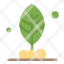 leaf-plant-motivation-icon