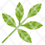 leaf-plant-spa-botanical-herbs-icon