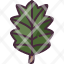 leafoak-autumn-oak-leaf-cultures-botanical-garden-plant-nature-icon