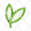 leaves-branch-leaf-plant-ecology-herb-botany-icon