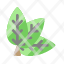 leaves-organic-fresh-nature-environment-icon