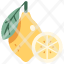 lemon-agriculture-fresh-healthy-food-fruit-bunch-icon