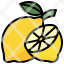 lemon-citrus-healthy-food-vegetarian-and-restaurant-icon