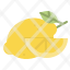lemon-fruit-food-healthy-natural-icon