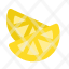 lemon-slice-sour-sitric-icon