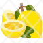 lemonfood-fruit-restaurant-viburnum-organic-vegan-healthy-food-vegetarian-citrus-icon