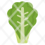 lettuce-romaine-vegetable-salad-leaf-green-icon