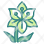 lily-flower-blossom-botanical-garden-petals-nature-icon
