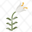 lily-flower-garden-gardening-nature-icon