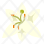 lily-flower-scent-perfume-fragrant-aroma-therapy-icon