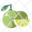 lime-agriculture-fresh-healthy-food-fruit-bunch-icon