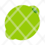 lime-juice-water-icon