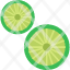lime-lemon-fruit-food-healthy-icon