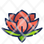 lotus-flower-blossom-wellness-diwali-hinduism-buddha-icon