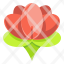 lotus-flower-yoga-wellness-maditation-icon