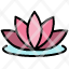 lotus-nature-flower-festival-icon