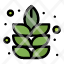 lotus-nature-plant-icon