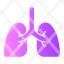 lung-breath-lungs-organ-breathe-anatomy-healthcare-medical-icon