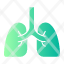 lung-breath-lungs-organ-breathe-anatomy-healthcare-medical-icon