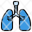 lung-respiration-breath-xray-hospital-care-icon