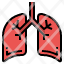 lungs-organ-human-medicine-anatomy-icon