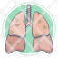 lungs-organ-lung-smoke-cancer-covide-icon