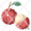 lychee-agriculture-fresh-healthy-food-fruit-bunch-icon