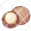macadamia-food-natural-icon