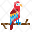 macaws-parrot-feather-jungle-wildlife-icon