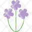 madder-flower-bloom-flowers-floral-plant-icon