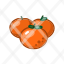 mandarin-fruit-food-ingredients-restaurant-fresh-vegetarian-icon