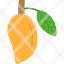 mango-food-fruit-healthy-fresh-icon